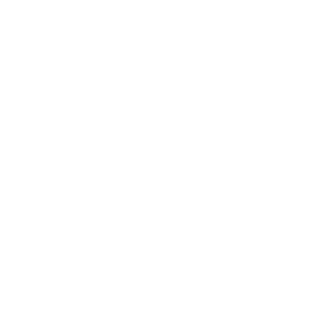 King MotorSports 